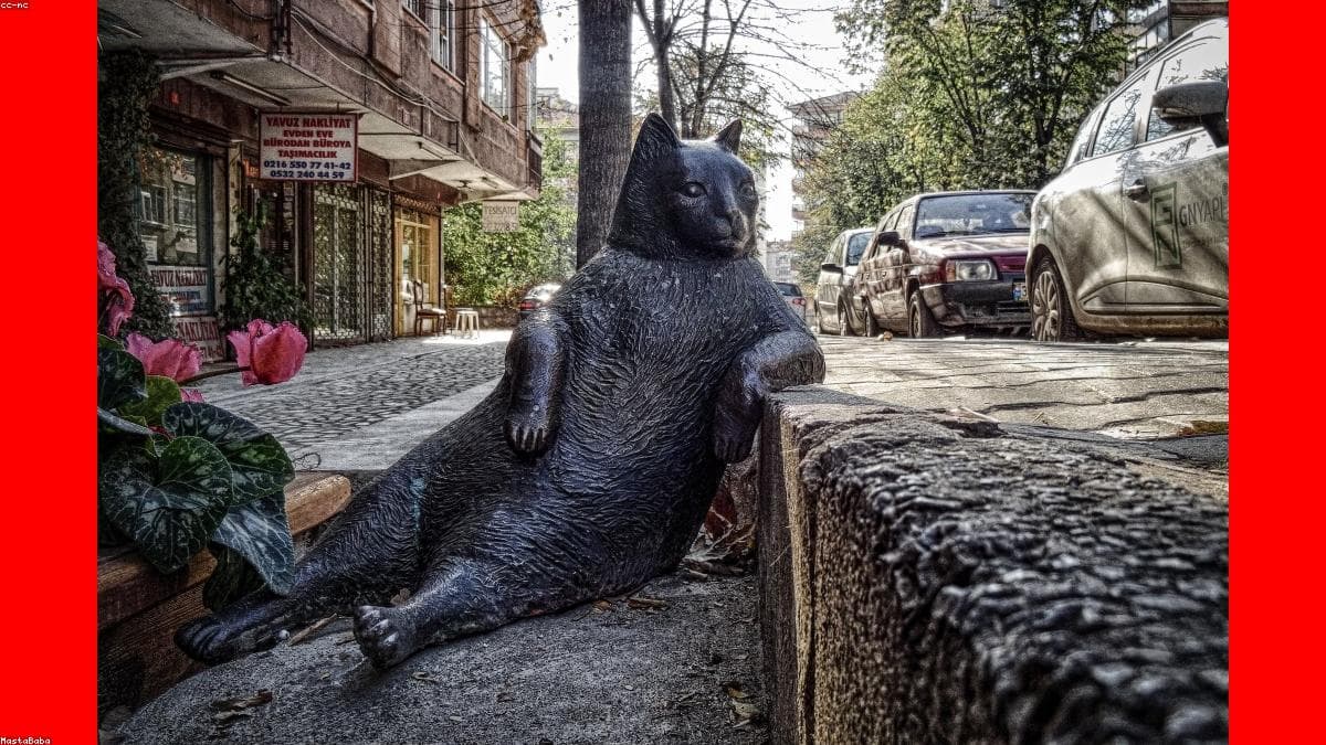 Mistral 관련 이미지