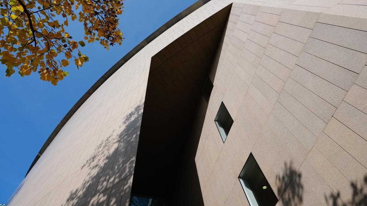 Google 관련 이미지