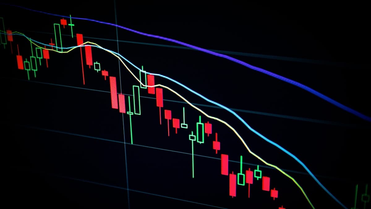 Venture capital and stock market