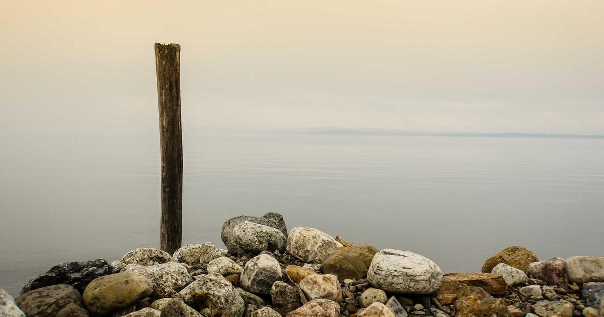 Anthropic logo with growth trajectory graph