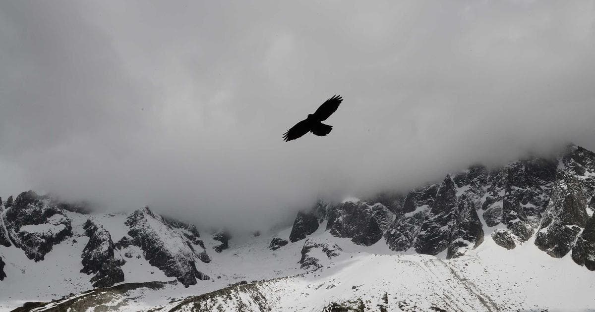 Google Veo 3.1 AI 비디오 생성 데모 화면