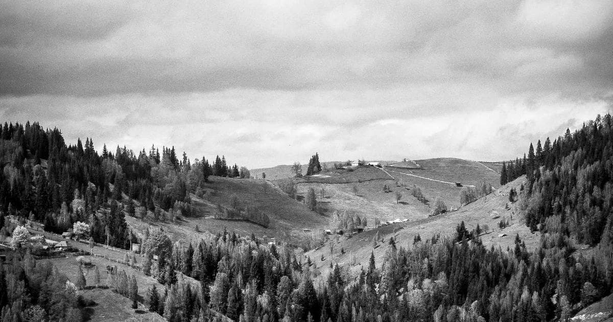 Perplexity AI app interface and growth chart