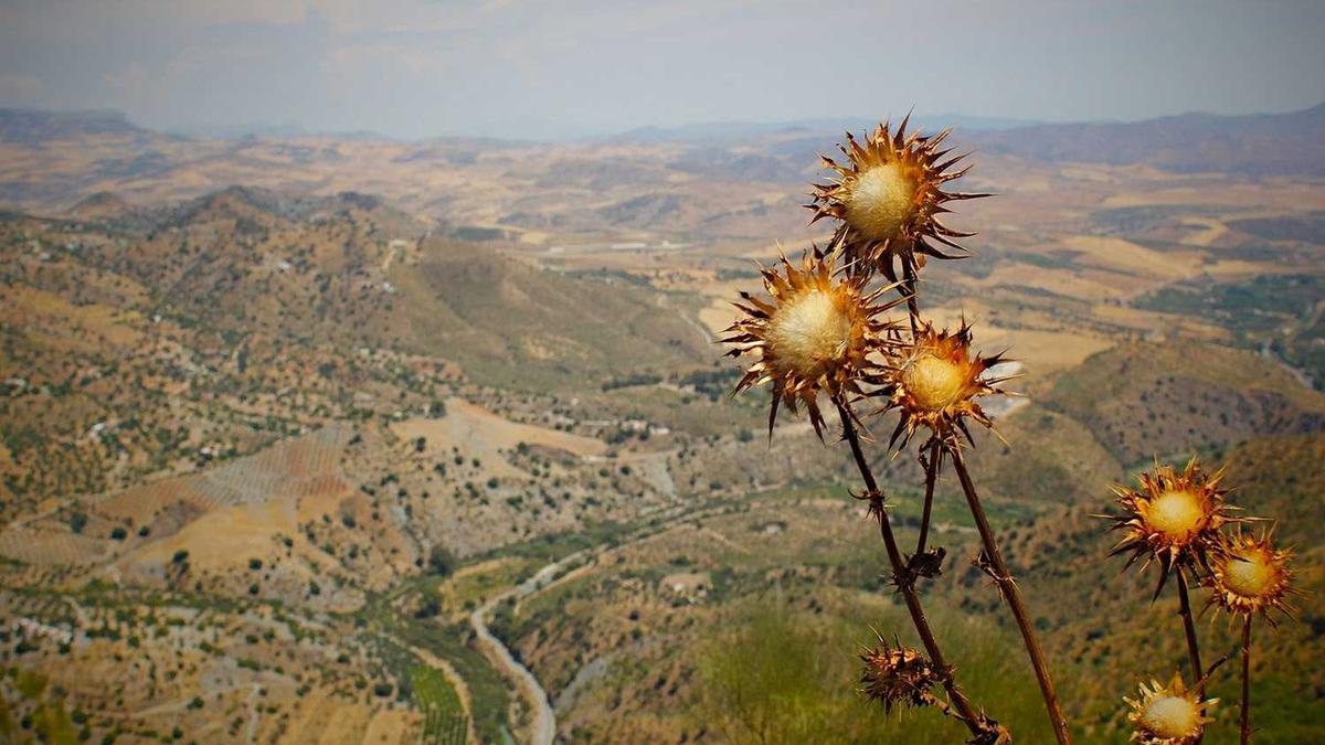 Anthropic Claude, 어제 78분간 멍 — 8일 만에 두 번째 대규모 장애 다이어그램 — 시스템 구조