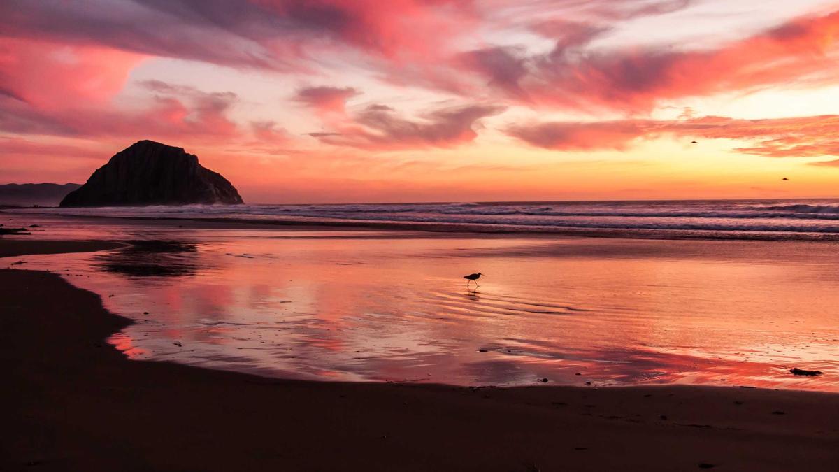 MemPalace 비판 논문: '기억의 궁전' 메타포가 진짜 왜 잘 먹히는지 분석 Figure 1 — 결과 차트