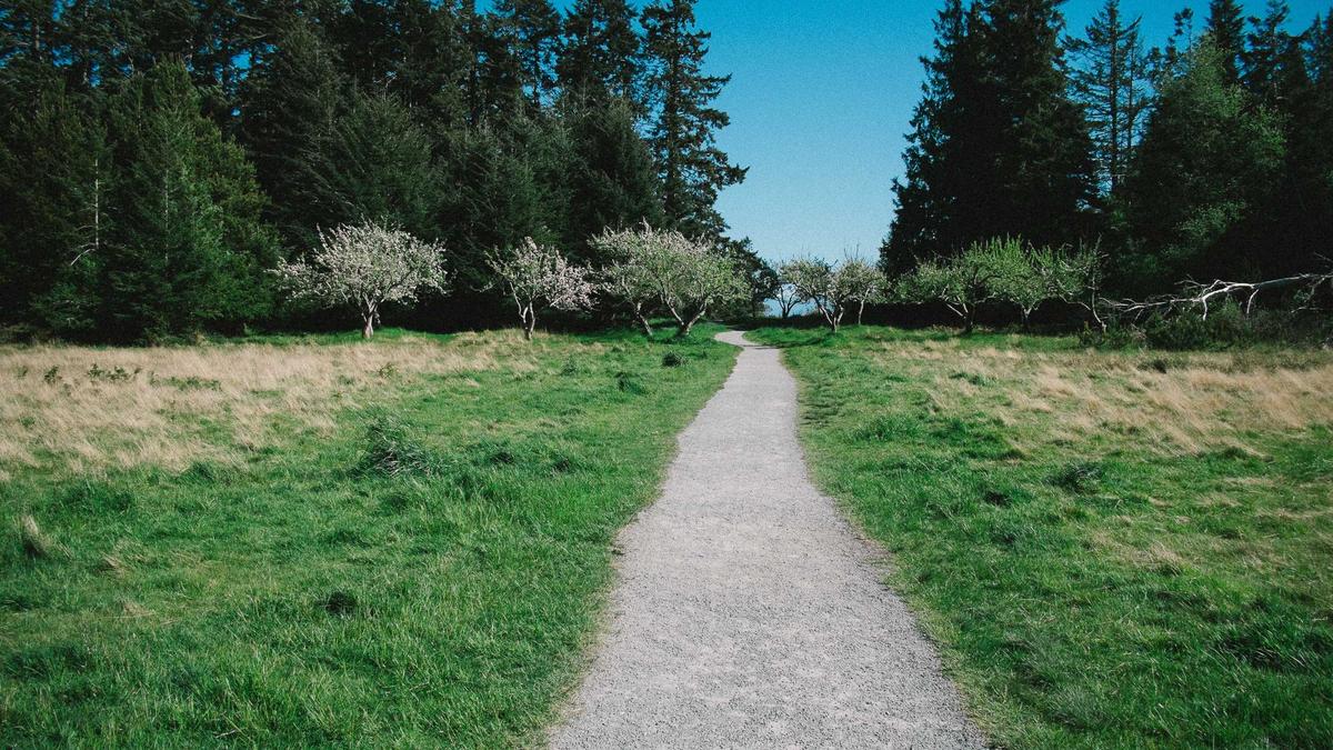 davila7/claude-code-templates — Claude Code 설정·모니터링 CLI, 26.1k 스타 README — 다이어그램