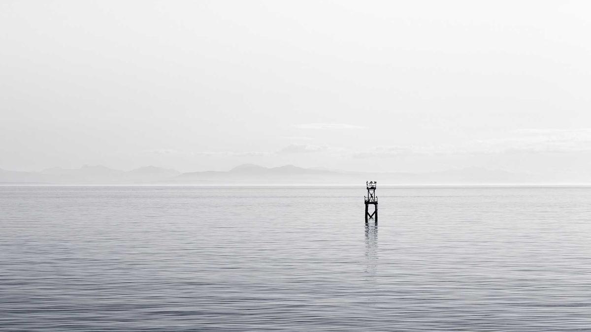 abhigyanpatwari/GitNexus — 브라우저에서 도는 zero-server 코드 인텔리전스, 32.5k 스타 README — 다이어그램