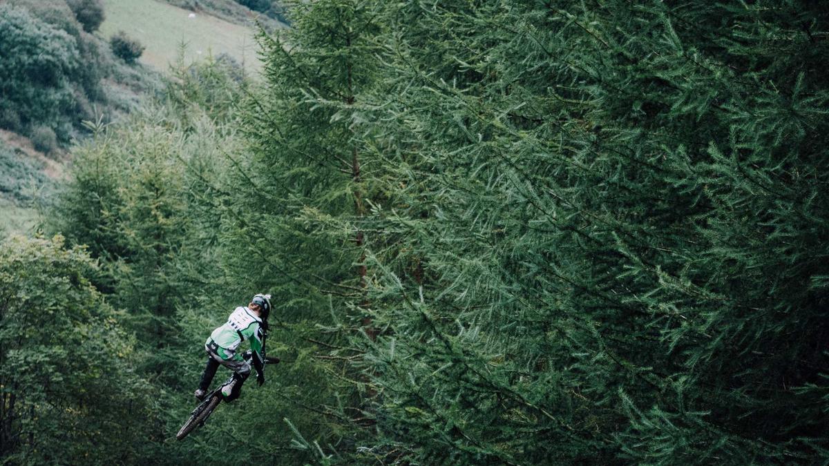 MindFort — 자기 행동 감사 가능한 AI 에이전트 보안 레이어 제품 스크린샷