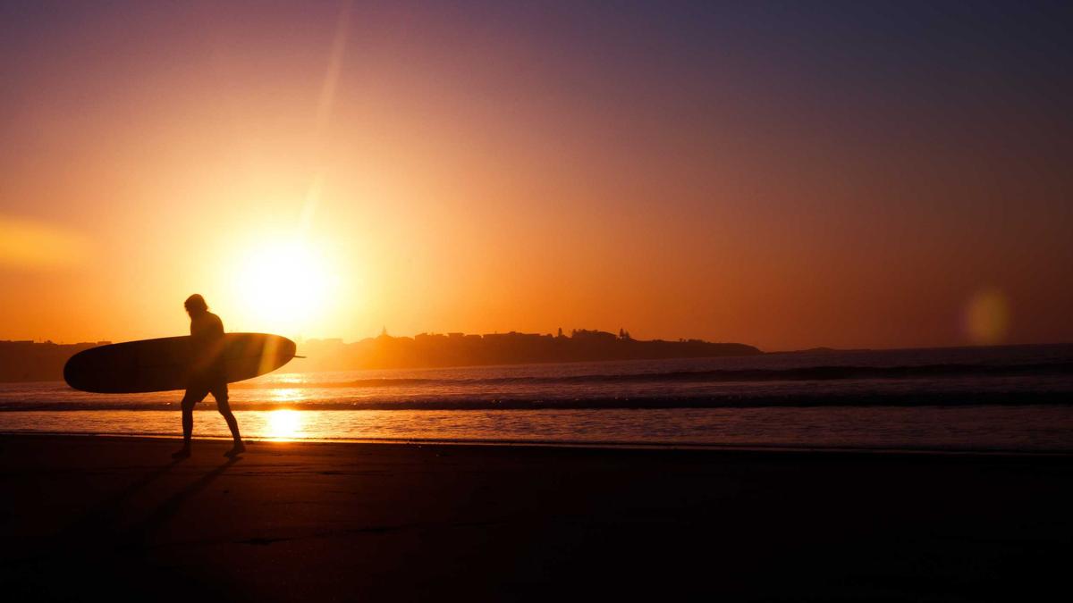 Vector by zauth — 'AI 에이전트용 Auth' 인프라 런칭 제품 스크린샷