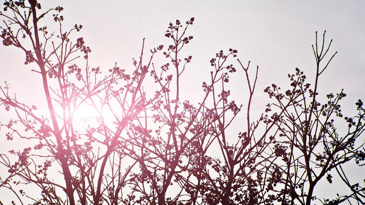 Warp Open-Sources Its Terminal — The Real Product Is Oz, Its Cloud Agent Orchestrator architecture diagram